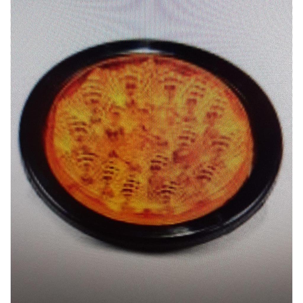 STOP 4" LED AMBAR 20LED LUZ FIJA MULTIVOL