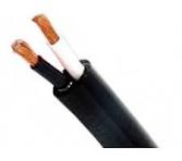 CABLE ELECTRICO TSJ 2 LINEAS ¢1.000